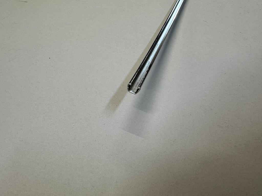 Zierstab am Heck 300 früh